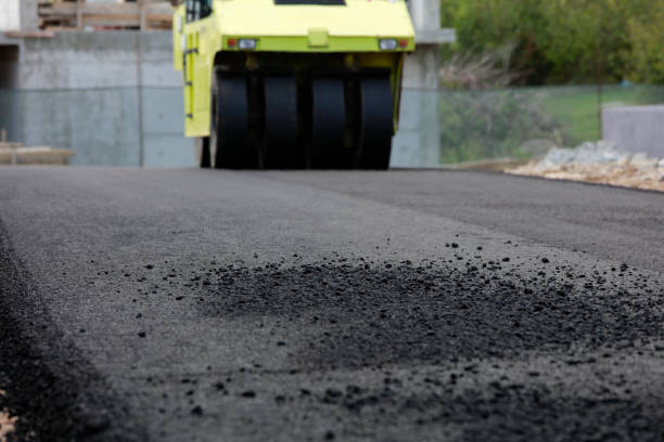Best Custom Driveway Pavers  in Dogtown, CA