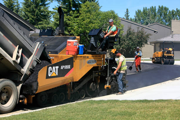 Best Decorative Driveway Pavers  in Dogtown, CA